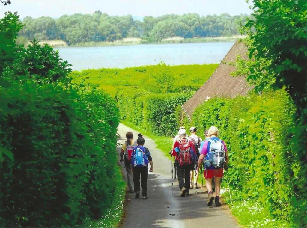 Les Chemins du Vent